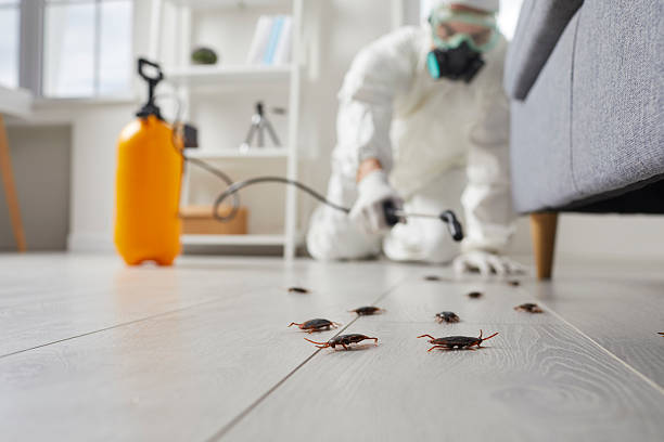 Commercial Kitchen Cockroach Control in Hutto