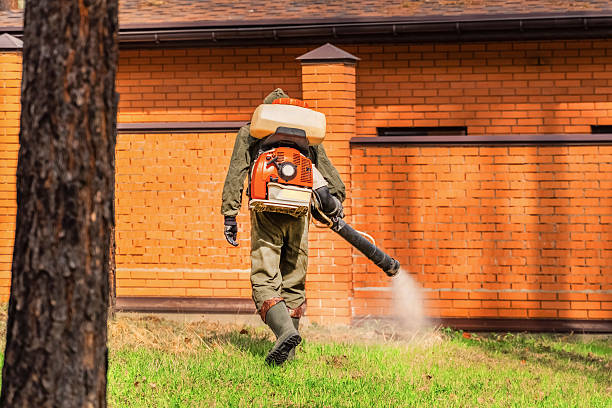 Cockroach Follow-Up and Monitoring in Hutto